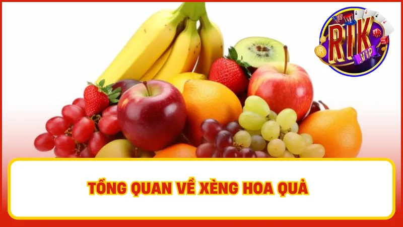 Xèng Hoa Quả – Slot Kinh Điển Quen Thuộc Nhưng Luôn Hot 2 Trò chơi này không chỉ dễ chơi mà còn mang lại cơ hội kiếm tiền thật cho người tham gia